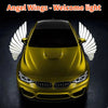 LED Light 2PCS Car Angel Wings Welcome Light Rearview Mirror Welcome Light Angel Wings Carpet Projection