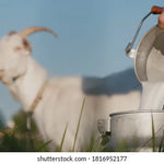 Goat Fresh Milk